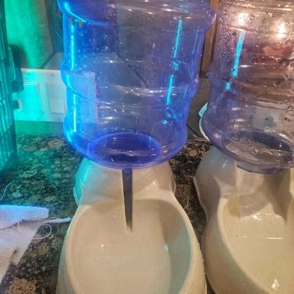 Dog Water Bowl and Food Bowl Automatic Pet Feeder 12" - Picture 2 of 3